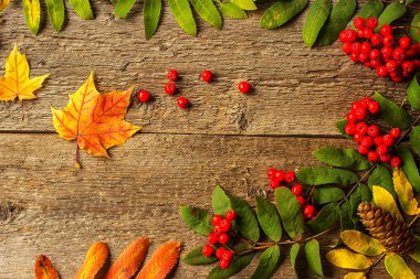 Natürmort. Rowan vintage ahşap kurullarında