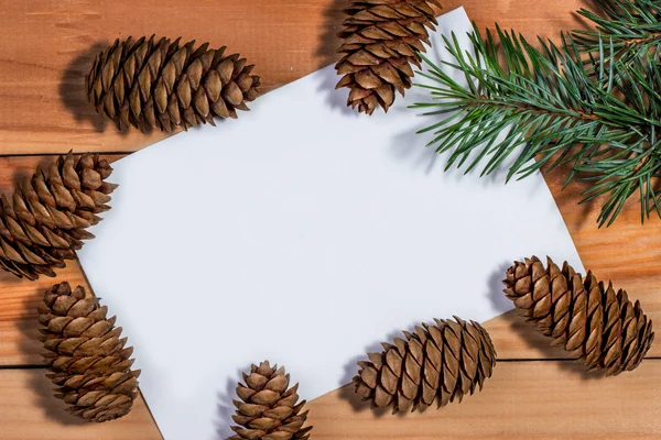 Frame of pine cones with space for text — Stock Photo, Image