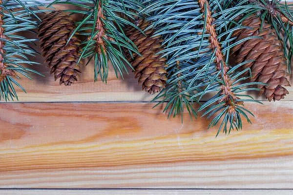 The spruce branches with cones on a wooden background — Stock Photo, Image