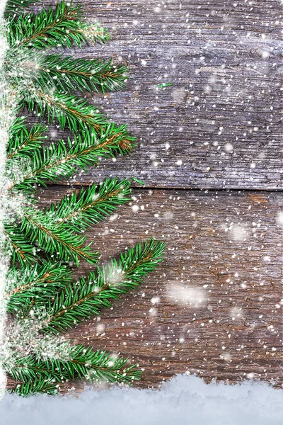 在木板上用雪花云杉分行 — 图库照片