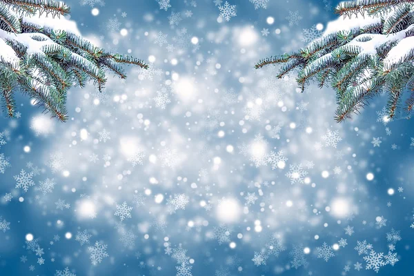 Weihnachten Hintergrund mit Tannenzweigen und Schnee — Stockfoto