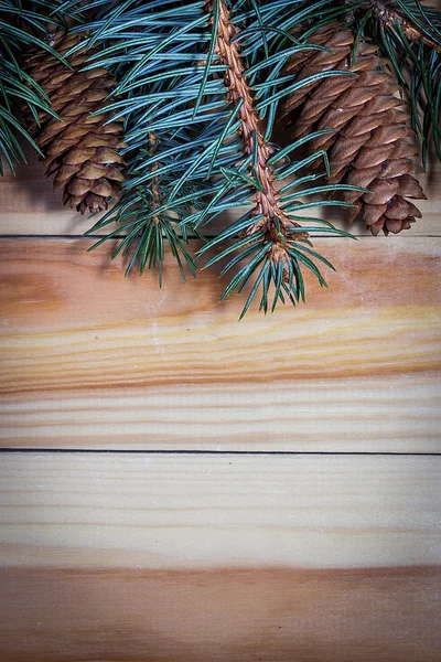 Galho de natal com cones — Fotografia de Stock