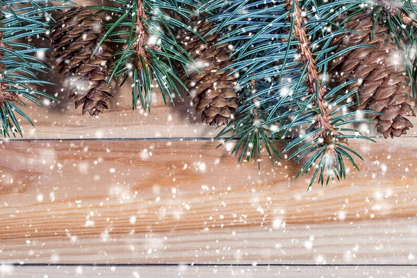 Boże Narodzenie jodła oddziałów na tle drewniane — Zdjęcie stockowe
