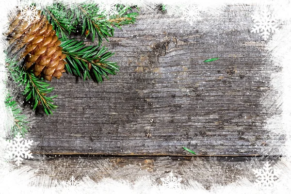 Çam dalları ve diken diken Noel arka plan — Stok fotoğraf