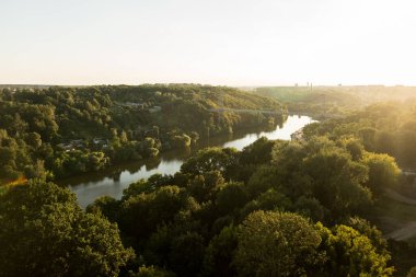 Yazın vahşi orman gölü manzarası. Doğa kavramı
