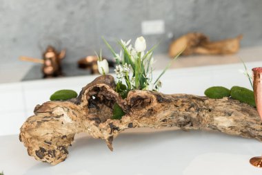 Mutfak tasarımını eko tarzında kapat