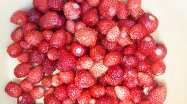 Kırmızı çilek - yaz meyveleri