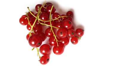 Frenk üzümü - yaz asit berry