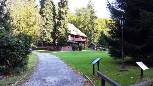 Jankovac Park Ormanı - Hırvatistan