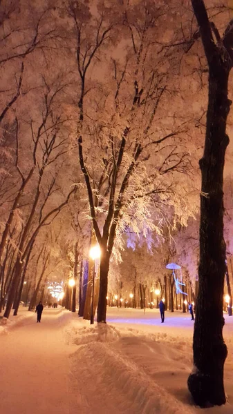 Estrada Parque Kharkiv Inverno Janeiro 2017 Ucrânia — Fotografia de Stock