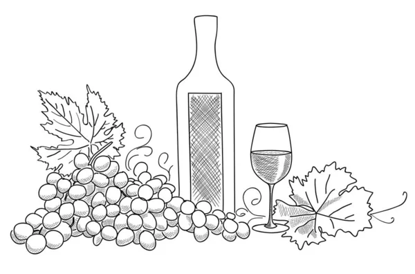 Fles Wijn Met Wijnglas Druiven Vectorschets — Stockvector