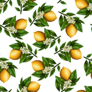 Bir dalda limon deseni, çiçekler ve yeşil yapraklar, beyaz arka planda stok çizimi, klasik tarzda, akrilik boyalar, resim, klişe, şablon