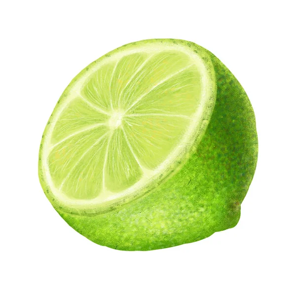Lime Half Vintage Style Isolated White Background Stock Illustration Design — Stock Photo, Image