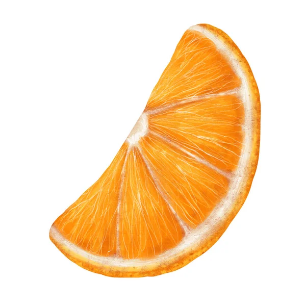 Fetta Agrume Arancione Isolata Sfondo Bianco Illustrazione Stock Design Arredamento — Foto Stock