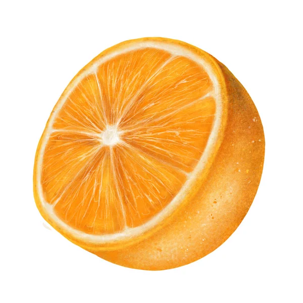 Arancione Agrume Tagliato Mezzo Isolato Sfondo Bianco Illustrazione Stock Disegno — Foto Stock