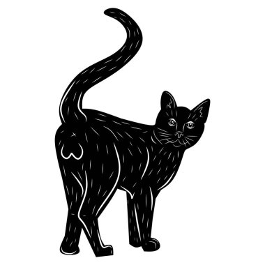 Komik siyah kedi, beyaz arka planda izole edilmiş çizgi film, tasarım ve dekorasyon için vektör çizimi, Cadılar Bayramı