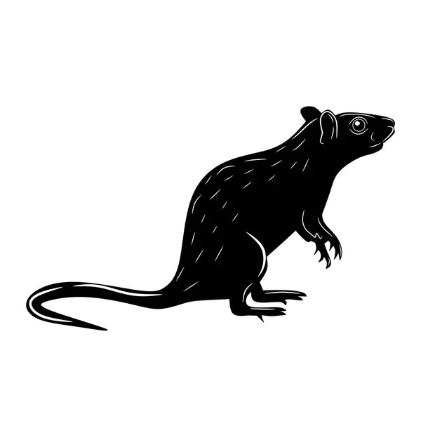 Negro Rata Dibujos Animados Aislados Sobre Fondo Blanco Ilustración Vectorial — Vector de stock