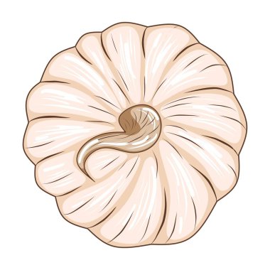 Beyaz arkaplanda izole edilmiş şirin pembe balkabağı tasarım ve dekor için stok vektör çizimi, çıkartma