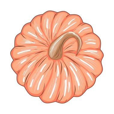 Beyaz arkaplanda izole edilmiş şirin turuncu balkabağı, dizayn ve dekor için stok vektör çizimi, çıkartma, yazdırma