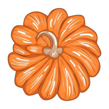 Beyaz arkaplanda izole edilmiş şirin turuncu balkabağı, dizayn ve dekor için stok vektör çizimi, çıkartma, yazdırma