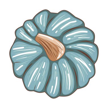 Beyaz arkaplanda izole edilmiş şirin mavi balkabağı, dizayn ve dekor için stok vektör çizimi, çıkartma, yazdırma