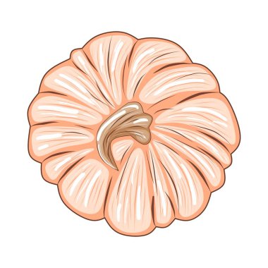 Beyaz arkaplanda izole edilmiş şirin pembe balkabağı tasarım ve dekor için stok vektör çizimi, çıkartma