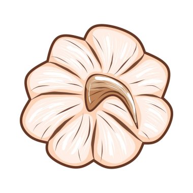 Beyaz arkaplanda izole edilmiş şirin pembe balkabağı tasarım ve dekor için stok vektör çizimi, çıkartma