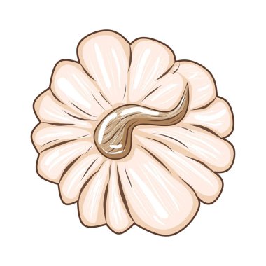 Beyaz arkaplanda izole edilmiş şirin pembe balkabağı tasarım ve dekor için stok vektör çizimi, çıkartma