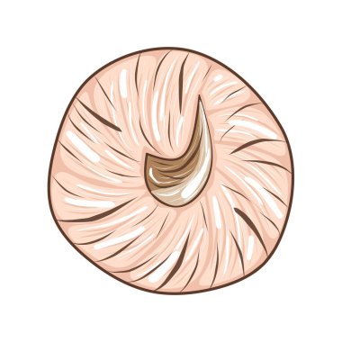 Beyaz arkaplanda izole edilmiş şirin pembe balkabağı tasarım ve dekor için stok vektör çizimi, çıkartma