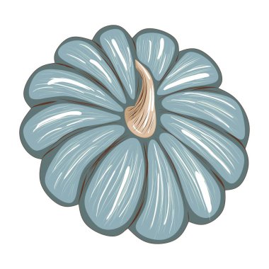 Beyaz arkaplanda izole edilmiş şirin mavi balkabağı, dizayn ve dekor için stok vektör çizimi, çıkartma, yazdırma