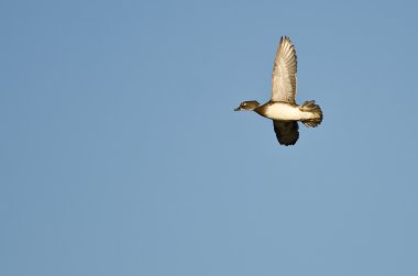 kadın ahşap mavi gökyüzünde uçan ördek 