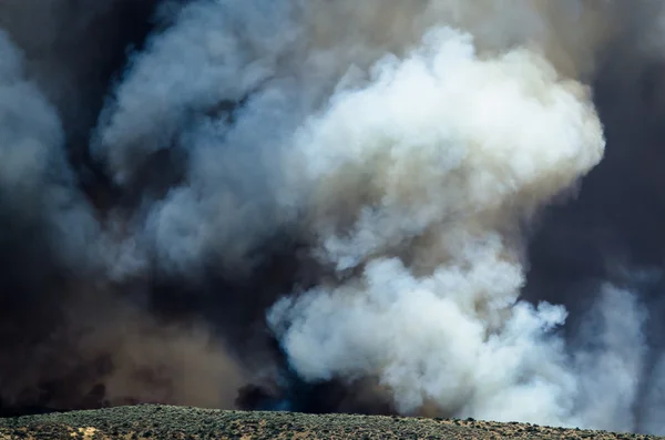 Dense White Smoke Rising from the Raging Wildfire — Stock Photo, Image