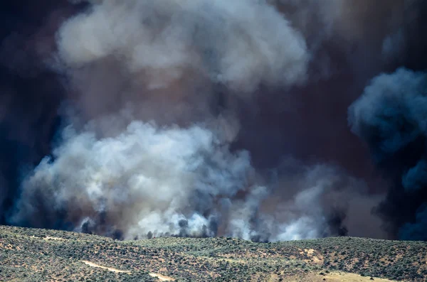 Dense White Smoke Rising from the Raging Wildfire — Stock Photo, Image