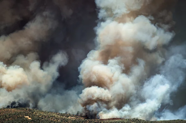 Небезпечний білий дим, що здіймається над вогнем дикої природи. — стокове фото