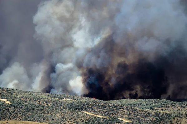 Dense Black Smoke Rising from the Raging Wildfire — Stock Photo, Image