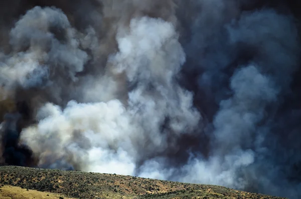 Dichter weißer Rauch steigt aus dem wütenden Flächenbrand auf — Stockfoto