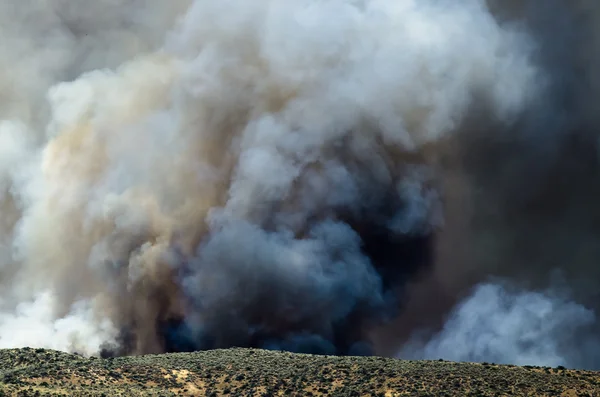 Из бушующего лесного пожара поднимается густой черный дым — стоковое фото