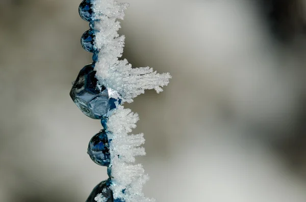 Frost Covered Blue Outdoor Christmas Decoration Beads — Stock Photo, Image