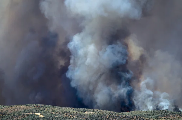 Dense White Smoke Rising from the Raging Wildfire — Stock Photo, Image