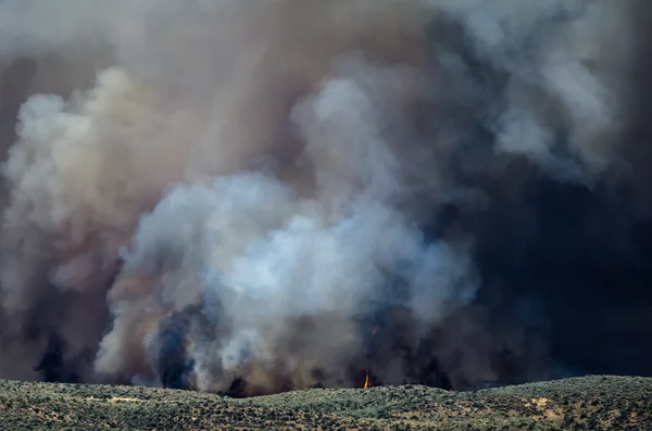 Flames and Dense White Smoke Rising from the Raging Wildfire — Stock Photo, Image