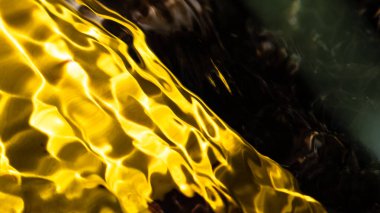 Doğa Özeti: Çerçevenin Çaprazında Sualtı Altın Rengi Dalgalanması