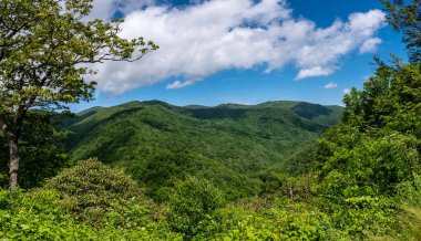 Appalachian Dağ Manzarası Blue Ridge Parkway boyunca