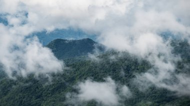 Appalachian Dağ Manzarası Blue Ridge Parkway boyunca
