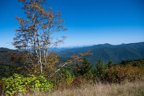 Outono Nas Montanhas Apalaches Vista Longo Blue Ridge Parkway — Fotografia de Stock