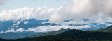 Apalaş Dağları 'nın vadilerinde sisli bir sabah. Blue Ridge Parkway' in manzarası.