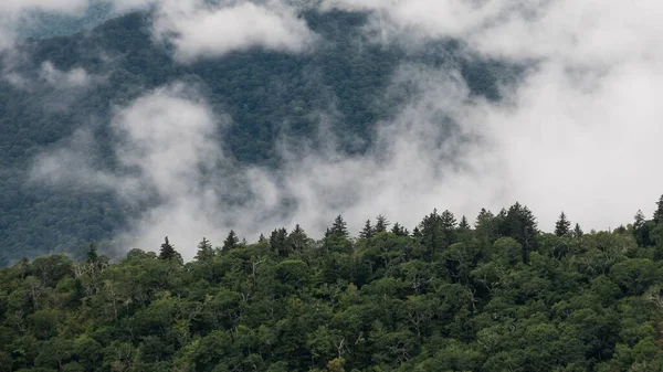 Foggy Πρωινό Στις Κοιλάδες Των Απαλαχίων Ορέων Θέα Από Blue — Φωτογραφία Αρχείου