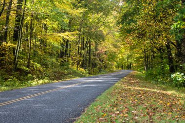 Sonbahar Appalachian Dağları 'nın içinden Blue Ridge Parkway boyunca gezinen yol.