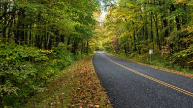 Sonbahar Appalachian Dağları 'nın içinden Blue Ridge Parkway boyunca gezinen yol.