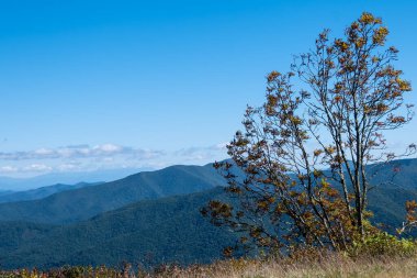 Appalachian Dağlarında sonbahar Blue Ridge Parkway boyunca görüldü.