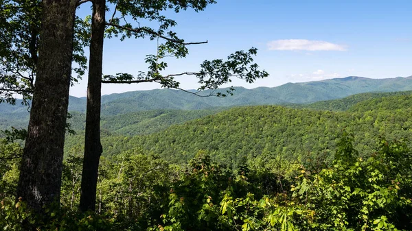 Primavera Appalachian Mountain View Longo Blue Ridge Parkway — Fotografia de Stock